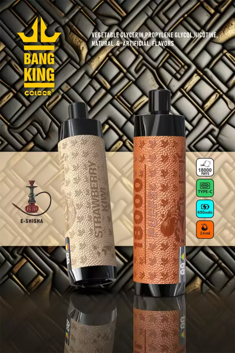 Bang King Shisha 18000 Puffs DTL Hookah Einweg-Vape mit Display 18K Puffs Vape Pen Elektronische Zigarette Großhandel Vape Pen Bulk Buy 12 Geschmacksrichtungen Big Cloud Typ -C (1)