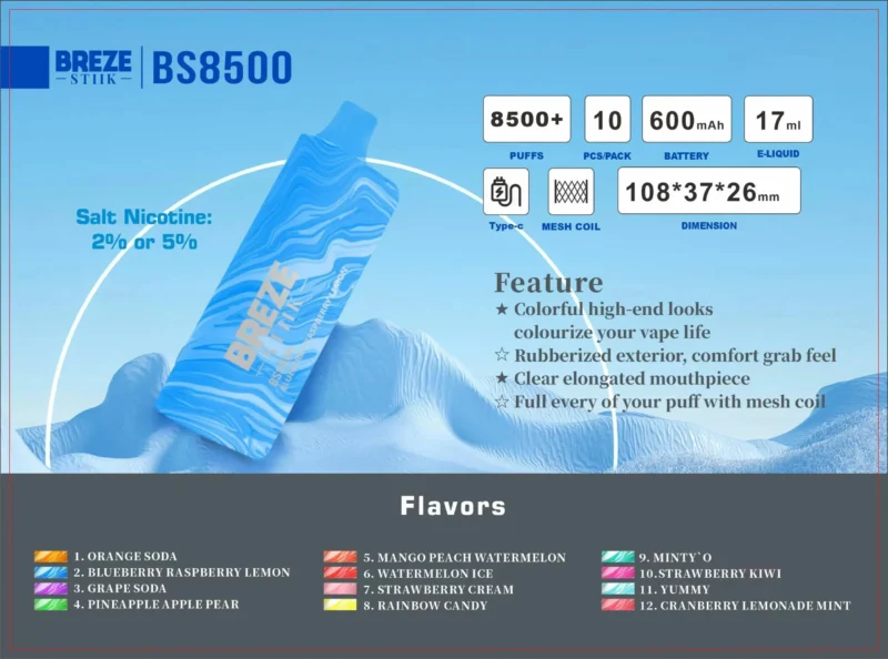 Wholesale Breze Stiik BS 8500 Puffs Disposable Vape Pen 17ml Capacity Mesh Coil Type-C Rechargeable Battery Nicotine 2% 5%