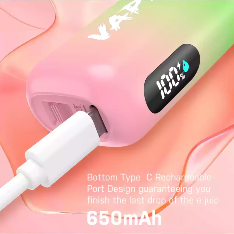 VAPEN ROCS 16000 PUFFS Recargable 2% 5% Aceite recargable con bajo contenido de nicotina Compre Vape desechable al por mayor a granel Envío de fábrica original de China (3)